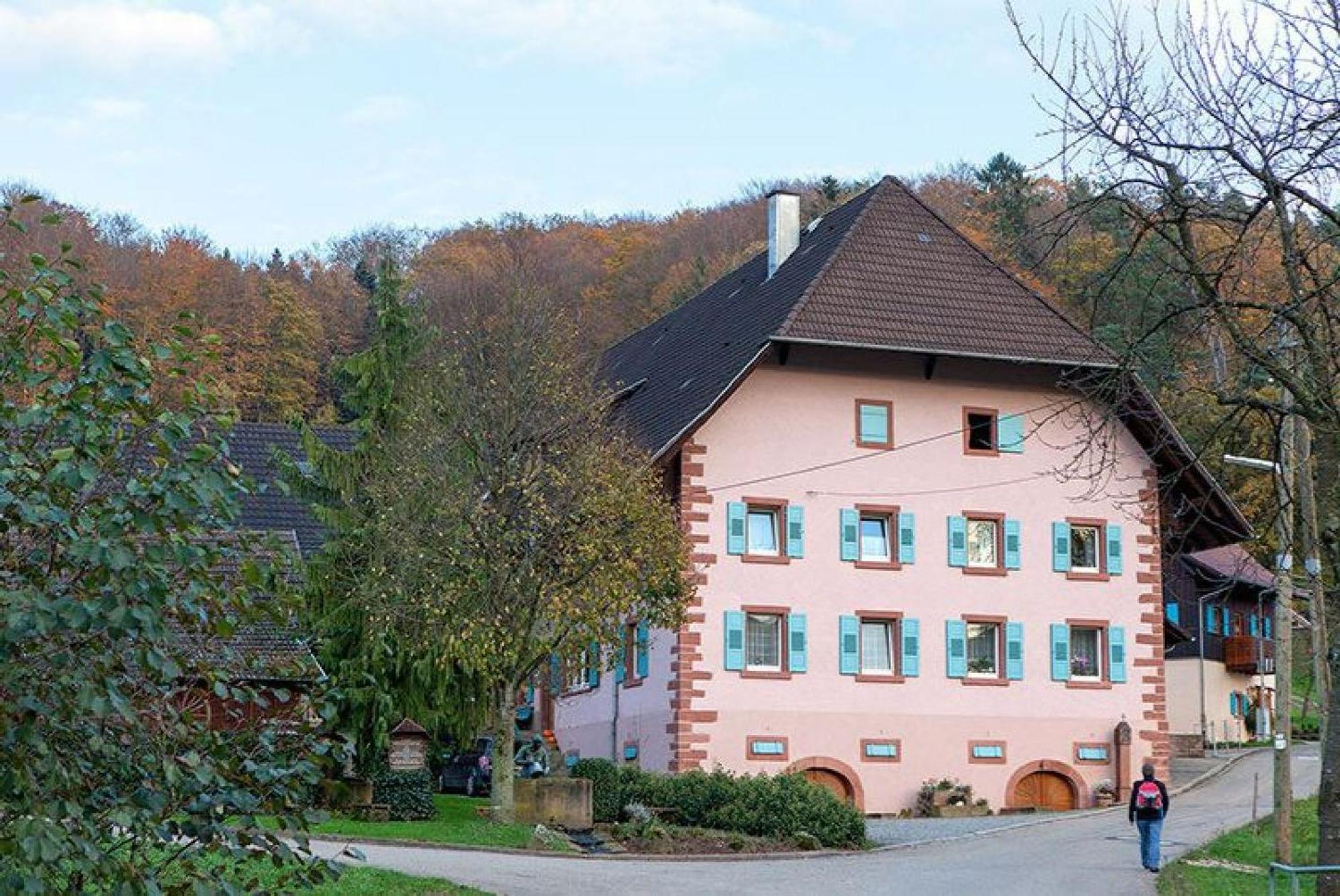 Ziegelhof Apartment Schuttertal Exterior foto